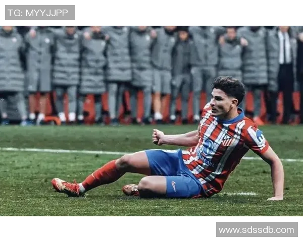 VAR因误判被罚款停赛 官方公布处罚决定引发热议