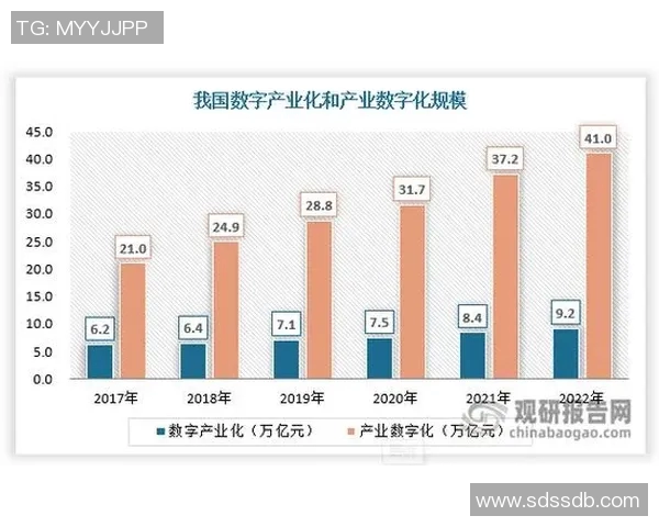 体育数字藏品市场发展趋势与未来前景分析 体育数字藏品市场发展趋势与未来前景分析