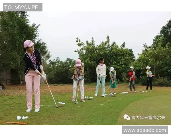 职业高尔夫比赛中推杆心理训练策略及其实践效果研究