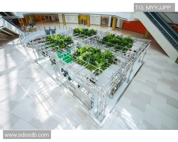 F1赛季车队排名及车手表现总结与展望 F1赛季车队排名及车手表现总结与展望