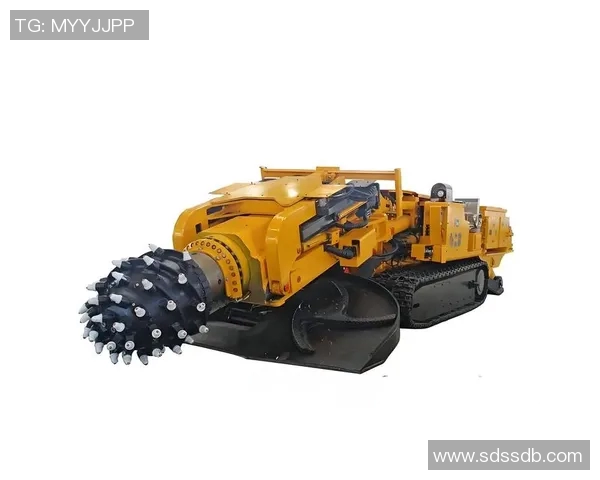 深度解析战术变化全景回顾与未来发展趋势全面预测